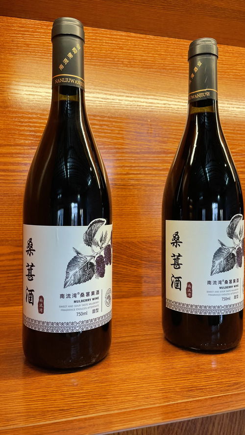 南流湾桑葚酒新品发布暨招商会圆满成功，共酿健康生活新滋味