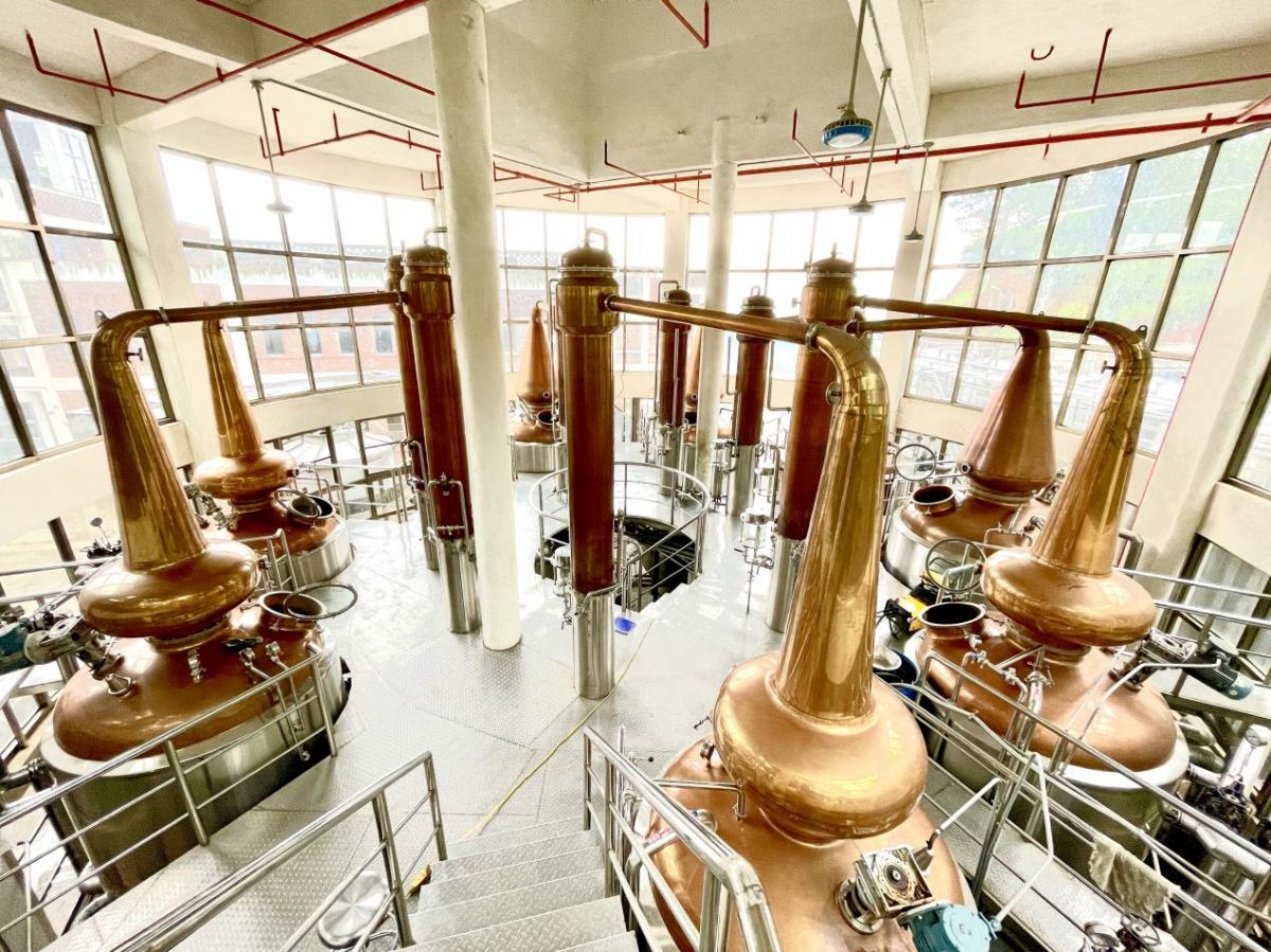 平和大溪 革命精神照亮老区“振兴路”，酒香四溢谱新篇